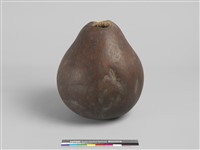 匏器藏品圖，第2張